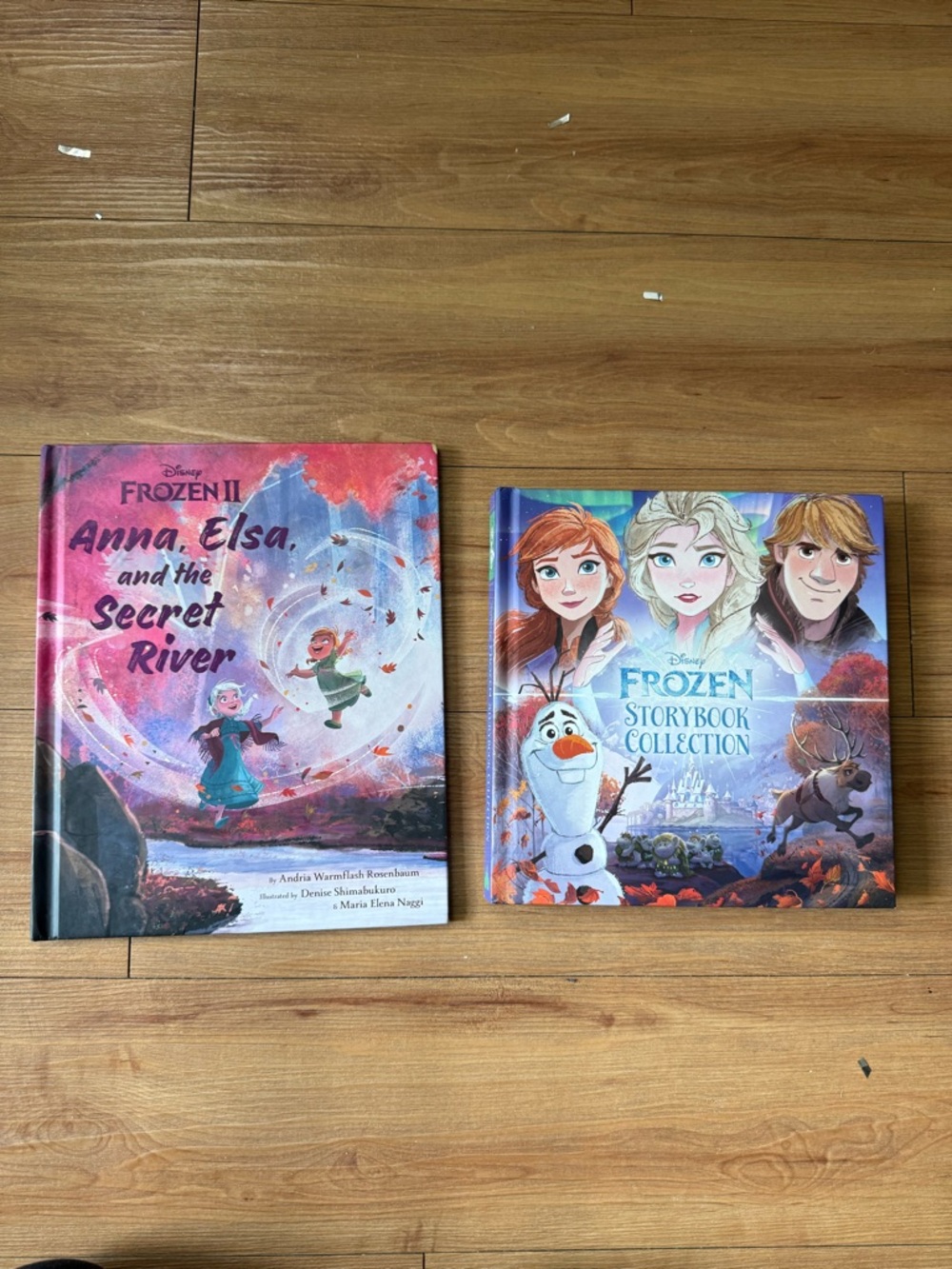 Frozen hardcore book lot, set